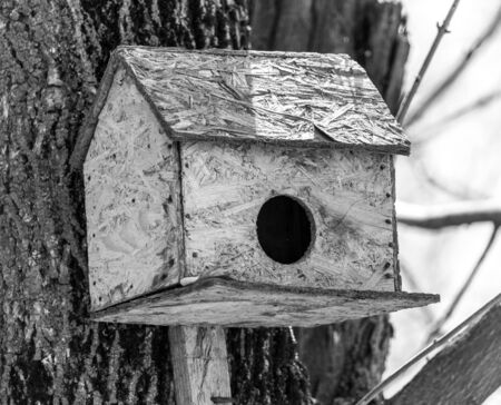 house for birds on a treeの写真素材