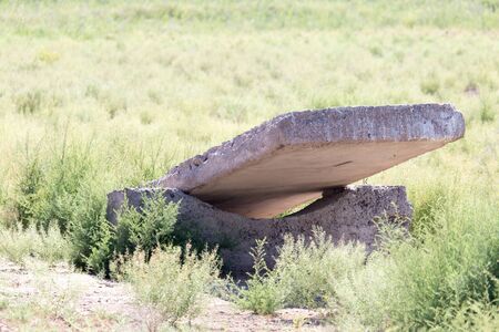concrete slab in the grass on the natureの写真素材