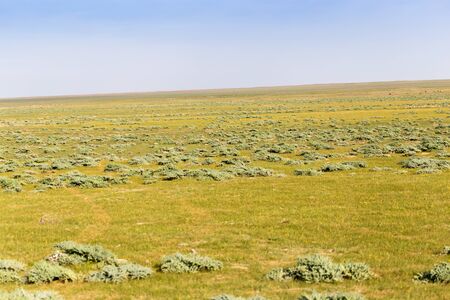 Spring in the steppes of Kazakhstan