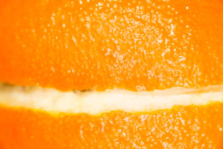 orange as a background. super macroの写真素材
