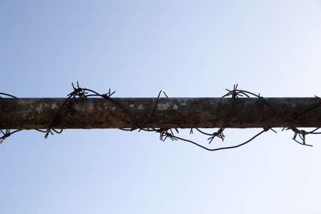 barbed wire on tubeの写真素材