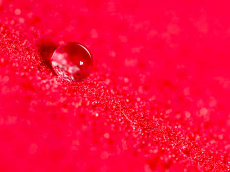 a drop of water on a red background. closeの写真素材