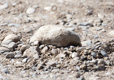 background stones in natureの写真素材