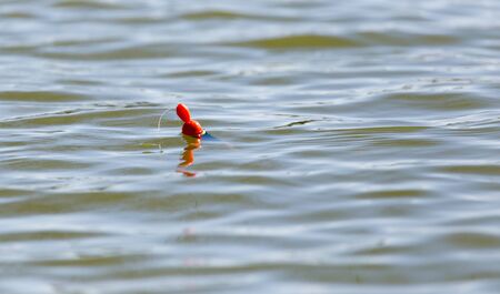 float for fishing on the surface of the water