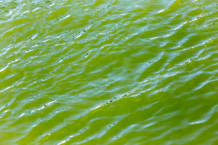 expanse of water in the lake as a backdropの写真素材