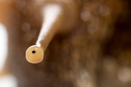 eye snails. super macroの写真素材