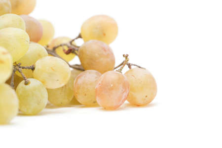 Grapes on a white backgroundの写真素材
