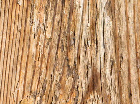 old wooden background