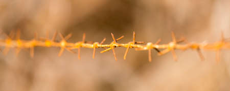 barbed wire on nature