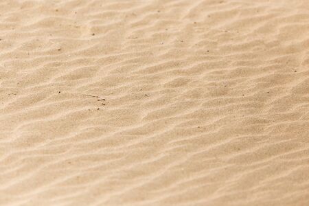 sand in nature as a background