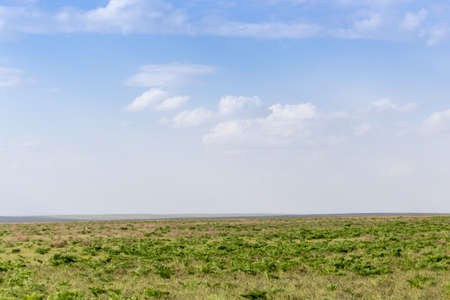 Spring in the steppes of Kazakhstanの写真素材