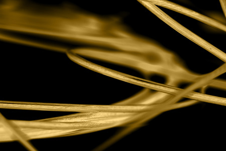 yellow cable on the black background. The inversionの写真素材