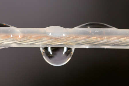 a drop of water on black. super macroの写真素材