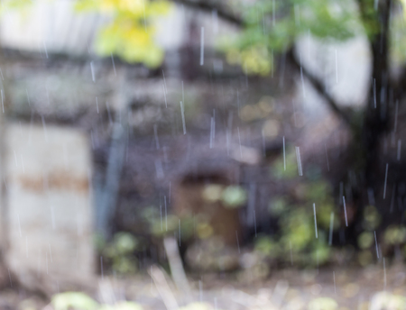 the first snow in the autumn as a backgroundの写真素材