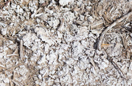 salt on the ground in nature