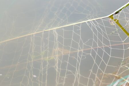net in the water