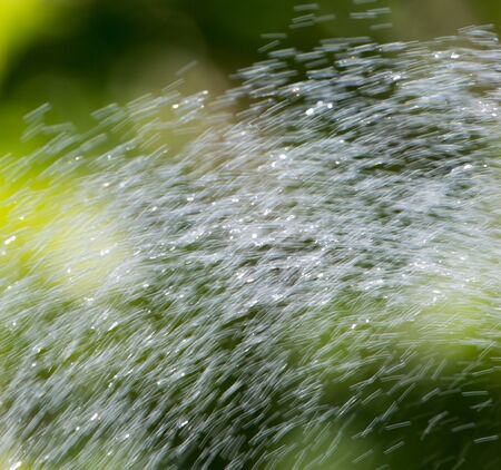 splashing water on nature. background