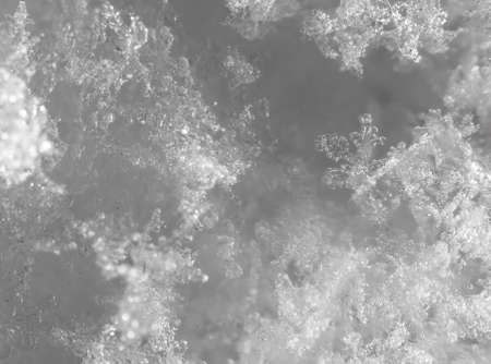 snowflakes. super macroの写真素材