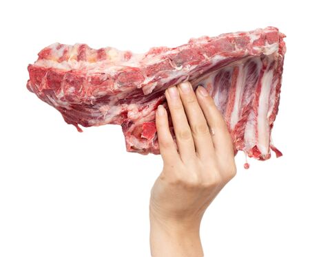 fresh meat in hand on a white background
