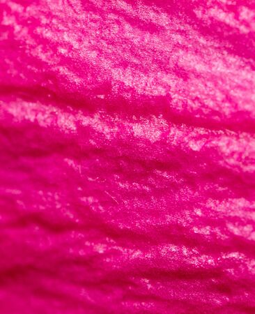red rose petals as a background. macroの写真素材