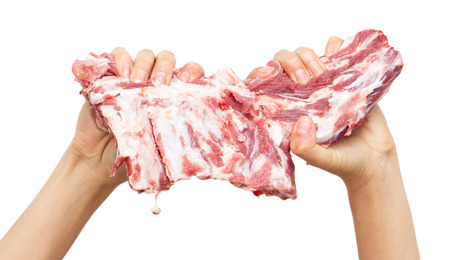 fresh meat in hand on a white backgroundの写真素材