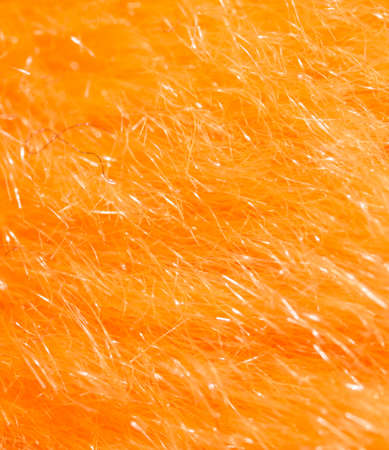orange fur as background. macroの写真素材