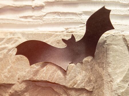 Paper on the wall of the bat on Halloween