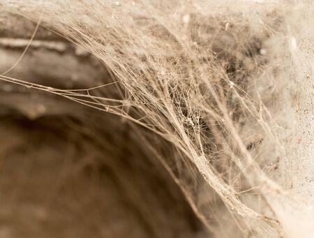 old web as backgroundの写真素材