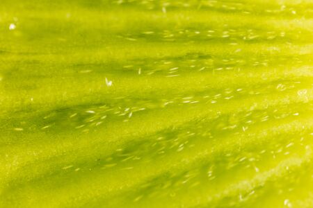 kiwi texture as background. macro