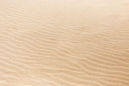 sand in nature as a background
