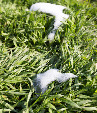 snow on the green grassの写真素材