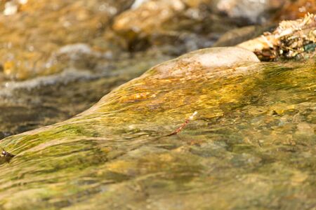 stones in the mountain riverの写真素材