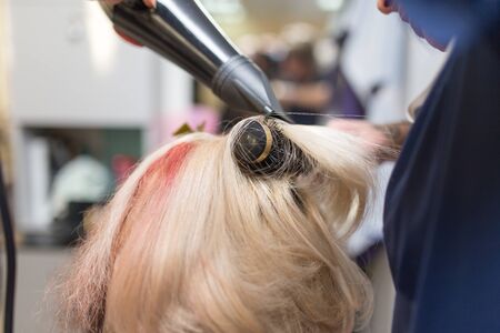blow-drying in a beauty salonの写真素材