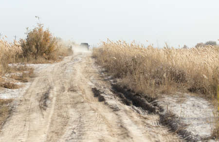 Dust from the SUV on the road with a caneの写真素材
