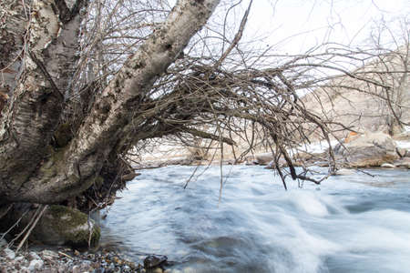 mountain river in Kazakhstan in nature