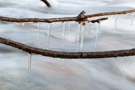 Icicle frozen on a branch of a tree near a mountain stream. The winter natureの写真素材