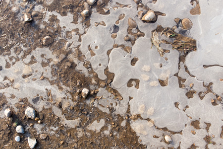 ice in a pool on the natureの写真素材