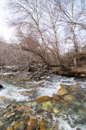 mountain river in Kazakhstan in nature
