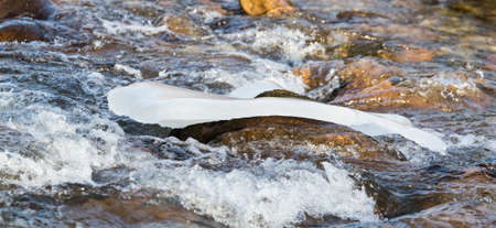 mountain river in the winter in nature