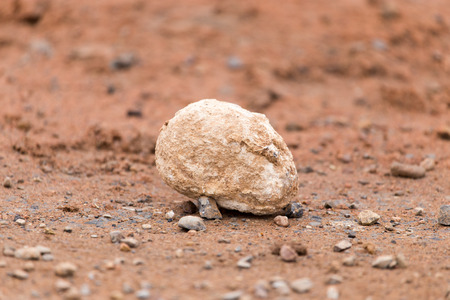 stones in natureの写真素材