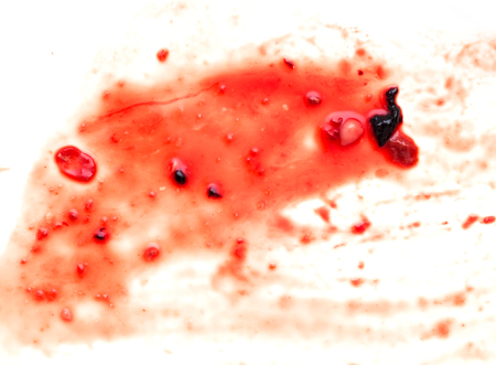 red blood on white background