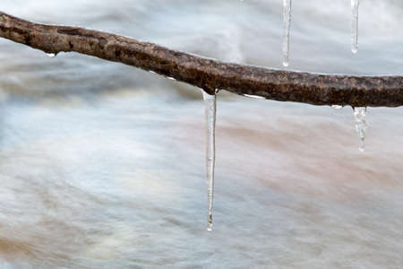 Icicle frozen on a branch of a tree near a mountain stream. The winter natureの写真素材