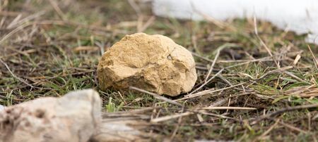 stones in natureの写真素材