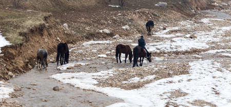 Rider on the horse on the river in winterの写真素材