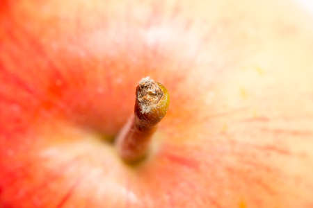 fresh apple as a background. macroの写真素材