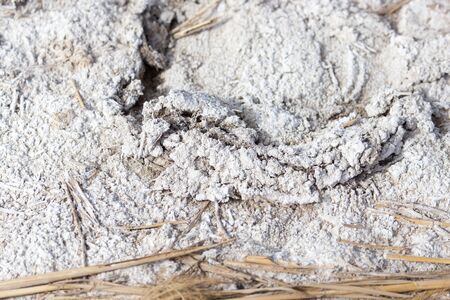 salt on the ground in natureの写真素材