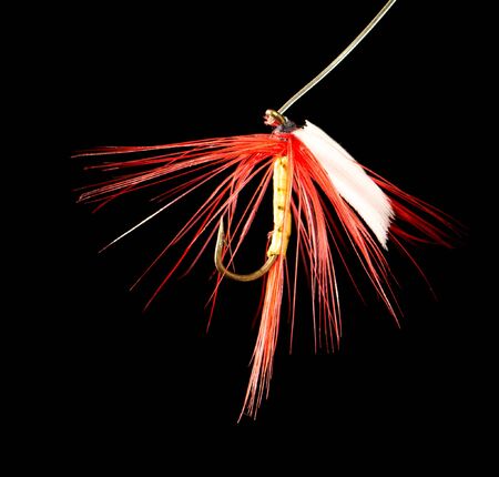 fly to catch fish on a black background