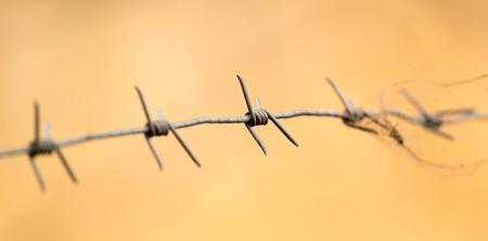 barbed wire as a backgroundの写真素材
