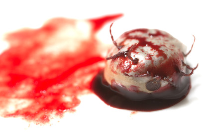 mites in blood on a white background. macroの写真素材