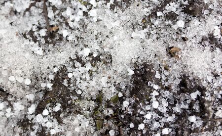 black soil in the snow on the nature